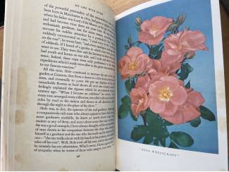 Flora en Fauna My life with roses - Harry Wheatcroft