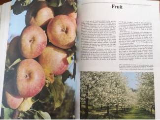 Flora en Fauna De tuin encyclopedie - Cestmir Bohm