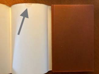 Kinderboeken De wilg aan het begin van de wereld - Alet Schouten