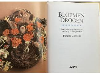 Hobby en Techniek Bloemen drogen - Pamelar Westland