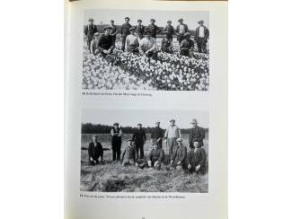 Geschiedenis en Politiek Op'evist deel 2 (Noordwijk) - Ton Meijer