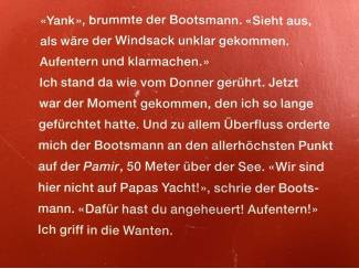 Reisboeken Das letzte mal ums Horn - William F. Stark