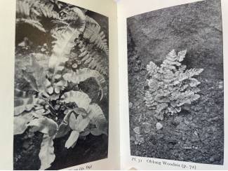 Flora en Fauna The Observer's Book of Ferns - Francis Rose