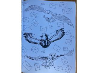 Creativiteit Harry Potter Colouring Book