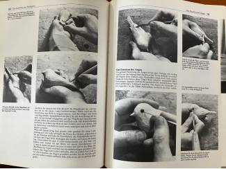 Hobby en Techniek Das grosse Buch vom Schnitzen (prijs incl. verzendkosten)