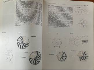 Hobby en Techniek Das grosse Buch vom Schnitzen (prijs incl. verzendkosten)