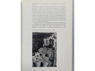 Geschiedenis en Politiek Bollenpelsters gevraagd - Jorien Meerdink
