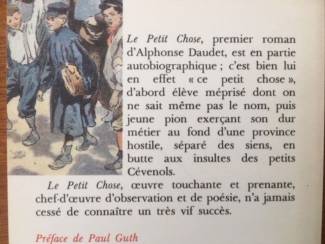 Buitenlandse Boeken Le Petit Chose - Alphonse Daudet