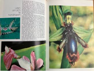 Flora en Fauna Wonderbaarlijk diergedrag - Peter R. Marler