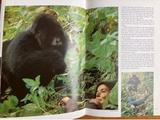Flora en Fauna Wonderbaarlijk diergedrag - Peter R. Marler