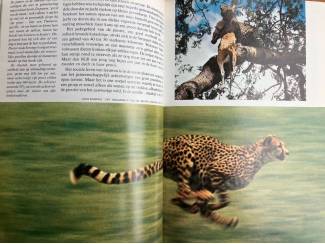 Flora en Fauna Wonderbaarlijk diergedrag - Peter R. Marler