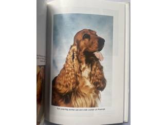 Huisdieren De Engelse Cocker Spaniel - Ruud Haak