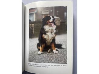 Huisdieren De Berner Sennenhond - Ruud Haak