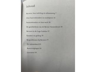 Huisdieren De Berner Sennenhond - Ruud Haak