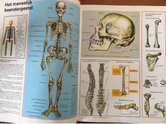 Jeugdboeken Het menselijk lichaam en vele andere boeiende onderwerpen