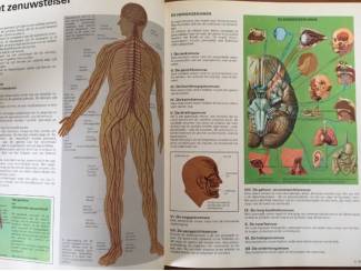 Jeugdboeken Het menselijk lichaam en vele andere boeiende onderwerpen