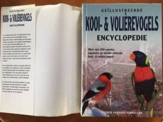 Huisdieren Gelllustreerde kooi- en volierevogels encyclopedie - Verhoef