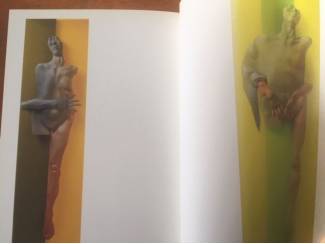 Kunst en Foto Park Sung Tae (Pyo Gallery Beijing)