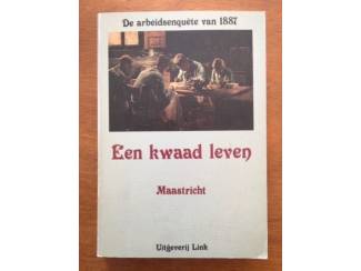 Een kwaad leven Maastricht