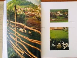 Reisboeken Transylvania - Fragile wonder - Szaraz, Teth