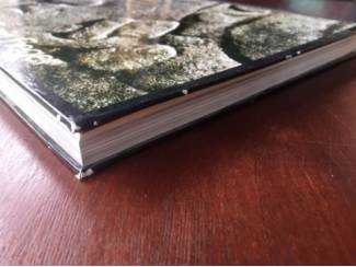 Reisboeken Mexico by Erwin Fieger