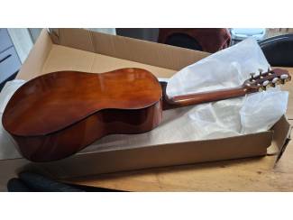 Snaarinstrumenten | Gitaren | Akoestisch Salvador akoestische gitaar