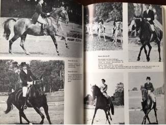 Sport Het Ruiterboek - H.J. Lijsen, Nora S. Tack