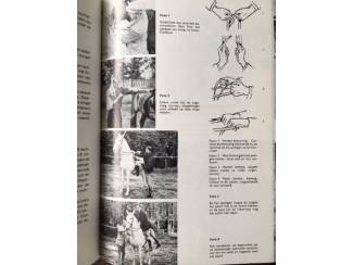 Sport Het Ruiterboek - H.J. Lijsen, Nora S. Tack