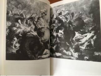 Kunst en Foto Peter Paul Rubens - Martin Warnke