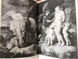 Kunst en Foto Peter Paul Rubens - Martin Warnke