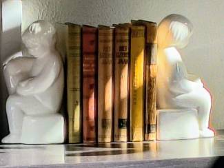 BOEKENSTEUNEN SET