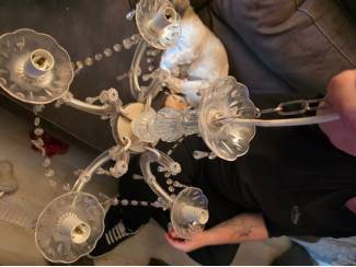 Lampen | Kroonluchters Kroonluchter