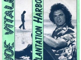 Joe Vitale &lrm;&ndash; Plantation Harbor Vinyl Single 1981 ZGAN