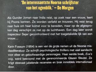 Thrillers en Spanning De Indiase bruid - Karin Fossum