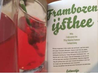 Kookboeken IJskoud de zomer door - Wijnanda Hogendoorn