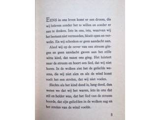 Romans Verloren zomerdag - Lia Timmermans