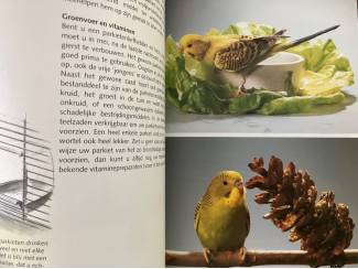 Flora en Fauna Grasparkieten - Kolar