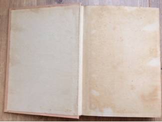 Antiquarische boeken Terry de broeder van Jerry - Jack London
