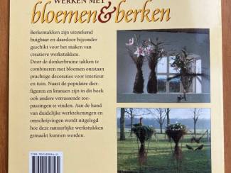Hobby en Techniek Werken met bloemen & berken - Corien Veron