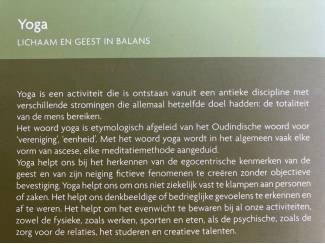 Overige Boeken en Diversen Lichaam & geest in balans: Yoga - Vanessa Bini