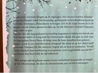 Romans Het meisje met de glazen voeten - Ali Shaw