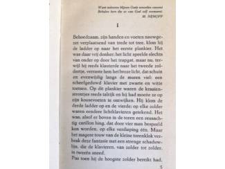 Literatuur God in de toren - Max Dendermonde
