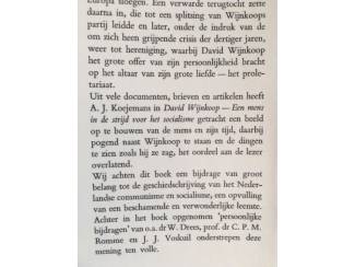 Biografie&euml;n David Wijnkoop- Een mens in de strijd voor het socialisme