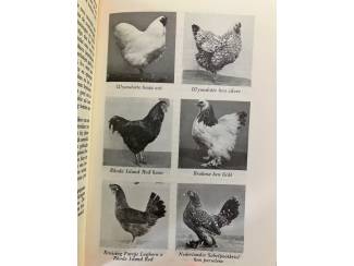 Flora en Fauna Hoenders - R. Douma