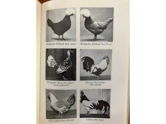 Flora en Fauna Hoenders - R. Douma