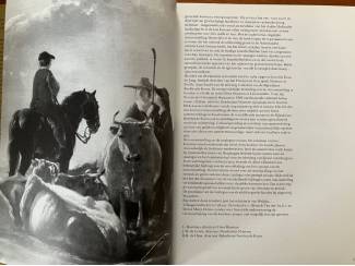 Kunst en Foto Meesterlijk vee - Ned. veeschilders 1600-1900