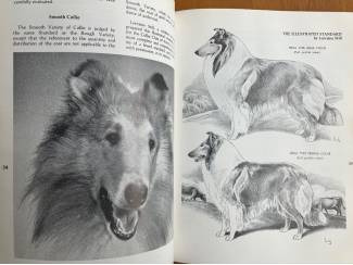Huisdieren The Collie Concept - Mrs. G. H. Rose (prijs incl. verzend)