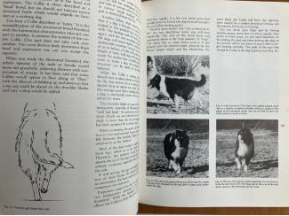 Huisdieren The Collie Concept - Mrs. G. H. Rose (prijs incl. verzend)