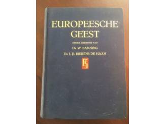 Geschiedenis en Politiek Europeesche geest (cultuurleven der Europeesche wereld)
