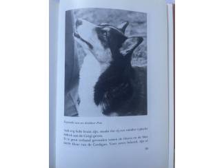 Huisdieren Het standaardboek over Welsh Corgi's - Ruud Haak